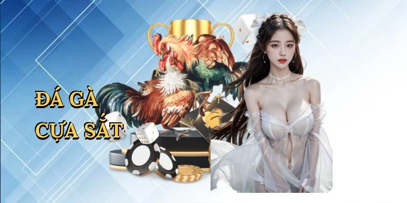 Đá gà cựa sắt