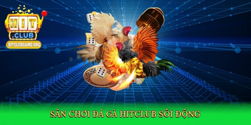 san-choi-da-ga-hitclub-soi-dong-2