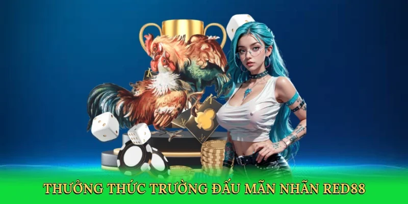 Thưởng thức trường đấu mãn nhãn RED88
