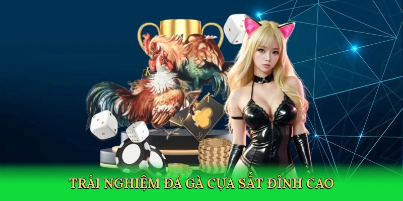 Trải nghiệm đá gà cựa sắt đỉnh cao
