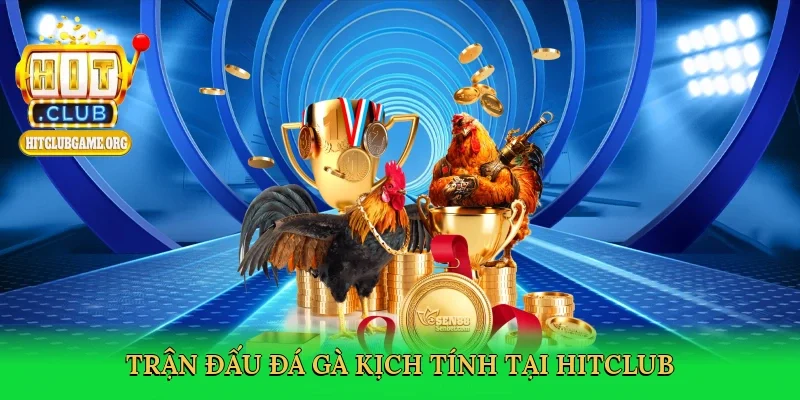 tran-dau-da-ga-kich-tinh-tai-hitclub-3